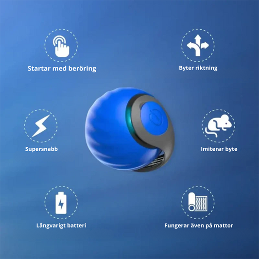 RollMaster™ – motion och underhållning i ett