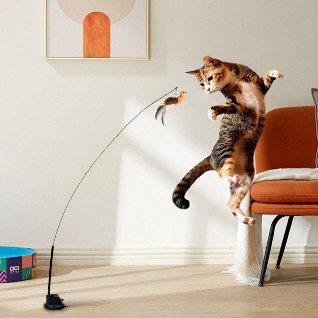 Fågelpinne – låt katten jaga som i det vilda